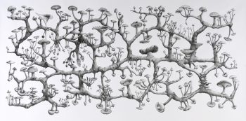 Richard Giblett [2008] Mycelium Rhizome. Graphite on paper, 120 x 240 cm.